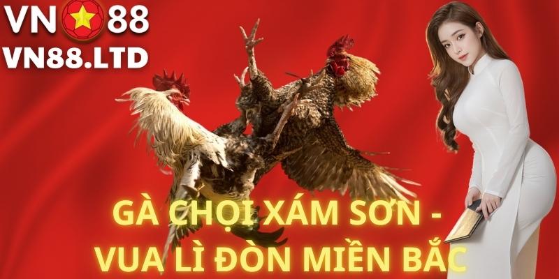 Khám Phá Thế Giới Giải Trí Trực Tuyến Với vn88 - Chìa Khóa Mở Cửa Thành Công